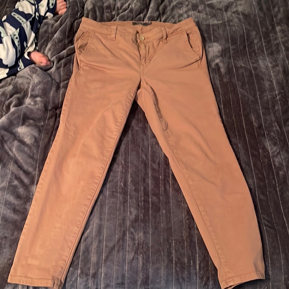 Torrid pants large